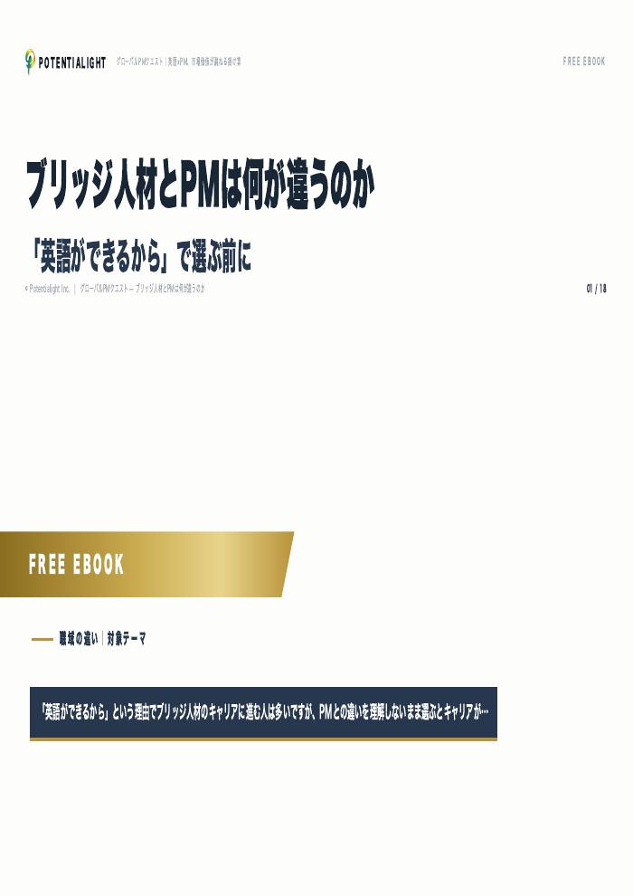 ブリッジ人材とPMの違い eBook表紙