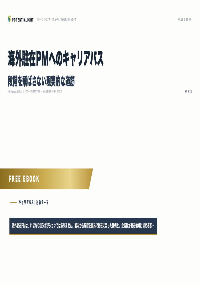 海外駐在PMへのキャリアパス eBook表紙