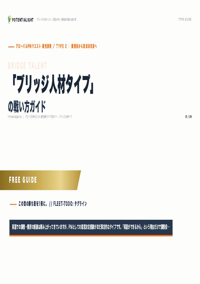 ブリッジ人材タイプの戦い方ガイド 表紙