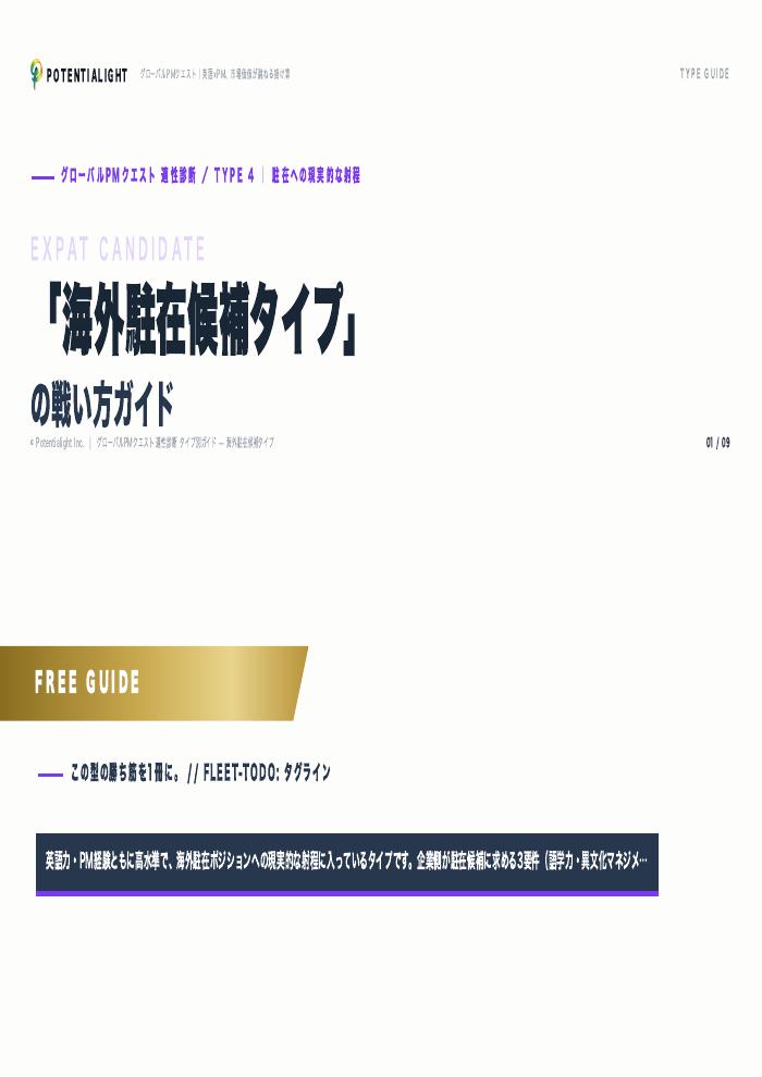 海外駐在候補タイプの戦い方ガイド 表紙