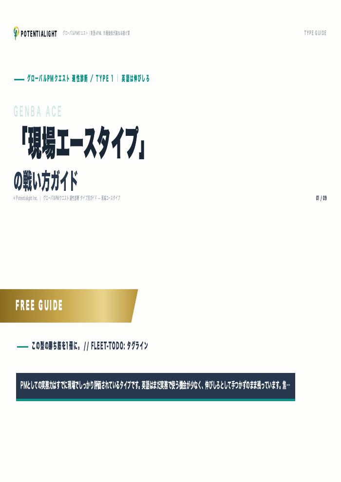 現場エースタイプの戦い方ガイド 表紙
