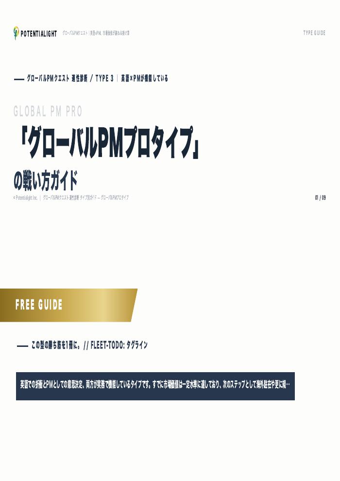 グローバルPMプロタイプの戦い方ガイド 表紙